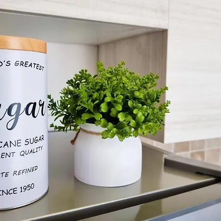 招待所 Riminimare House *