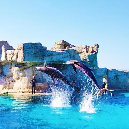 Riminimare House 招待所 里米尼