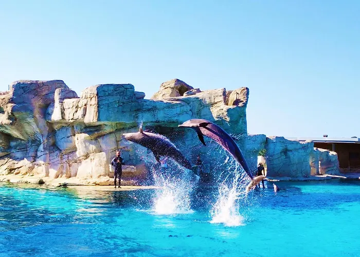 Riminimare House 게스트하우스 리미니